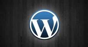 wordpress-development WordPress Development